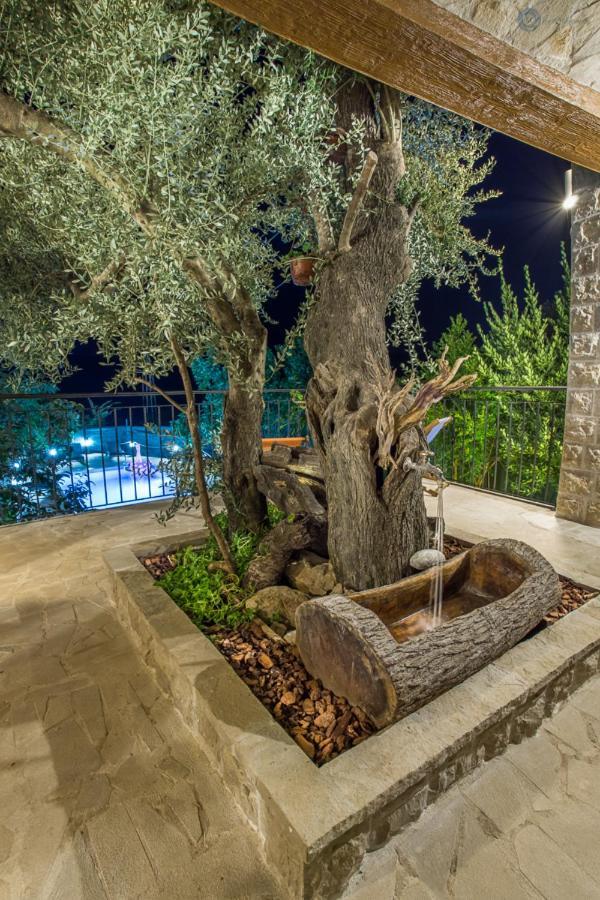 בודווה Villa Marco Polo מראה חיצוני תמונה